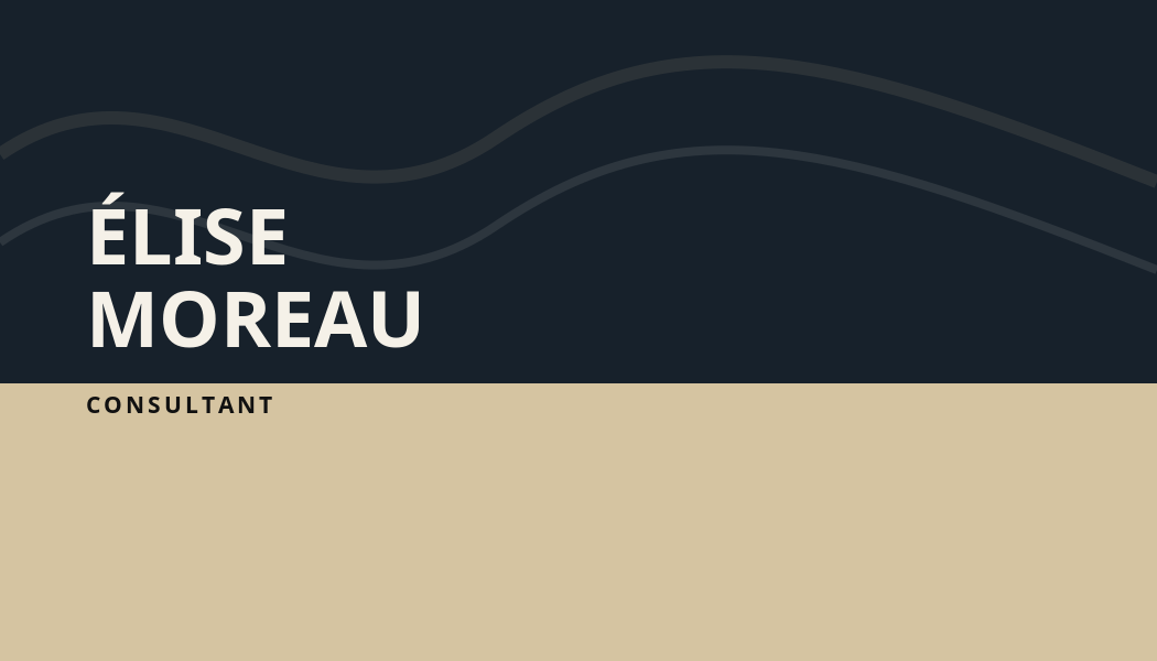 Foundation Professional business card preview